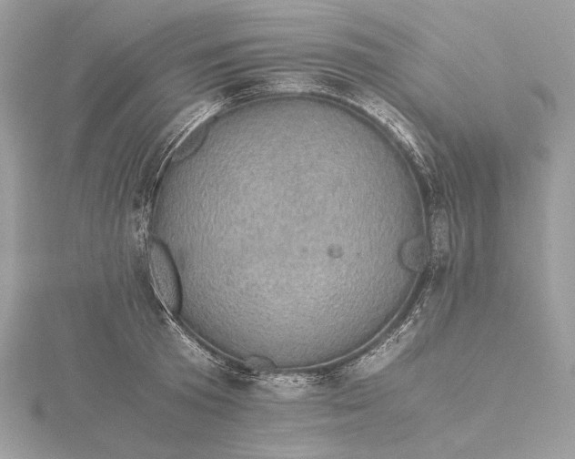 X0000116000801200912031508