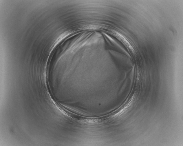 X0000116000802200912031508