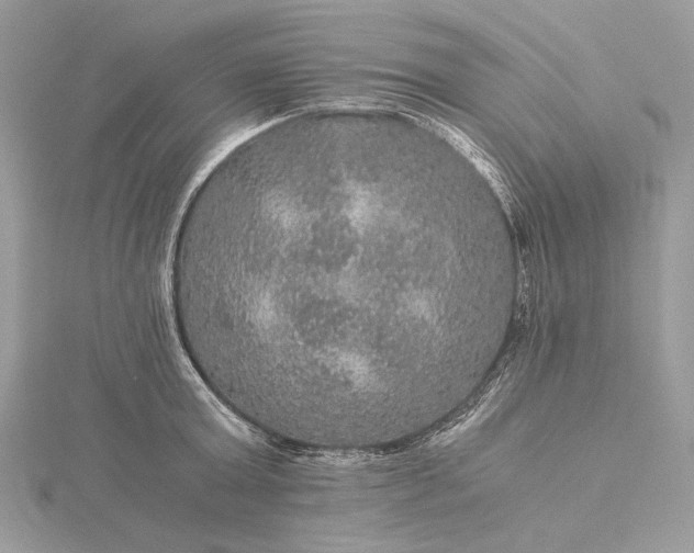 X0000116000803200912031508