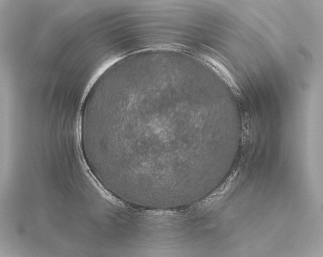 X0000116000804200912031508