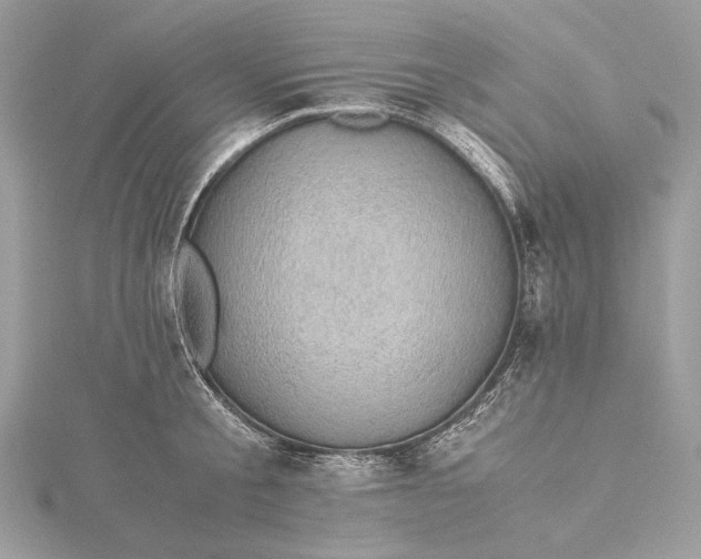 X0000116000805200912031508