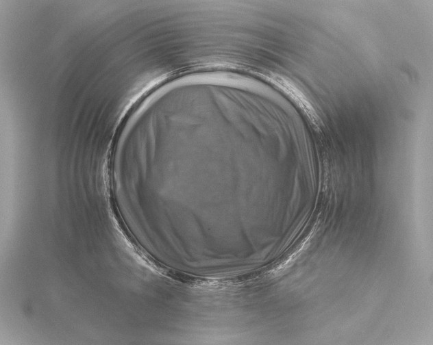 X0000116000806200912031507