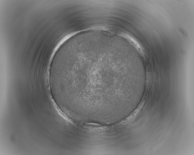 X0000116000808200912031507