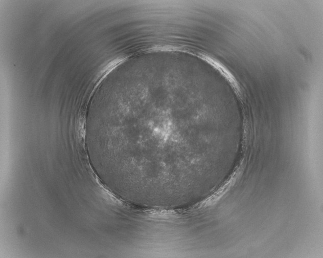 X0000116000809200912031507