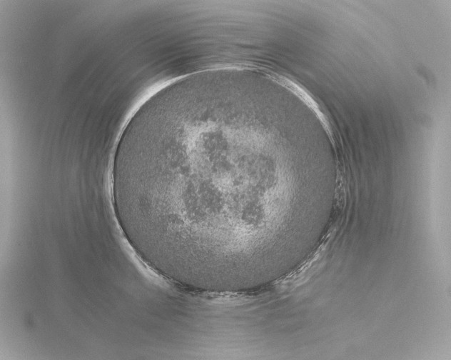 X0000116000811200912031507