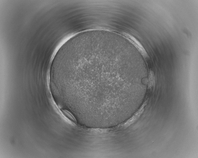 X0000116000812200912031507