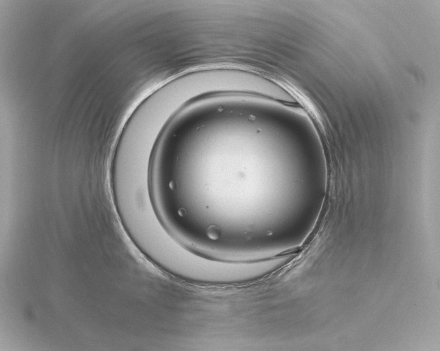 X0000116000813200912031507