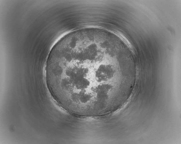 X0000116000814200912031507