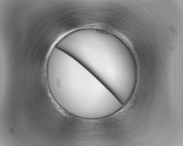 X0000116000816200912031507