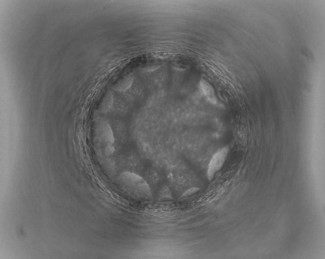 X0000116000817200912031507