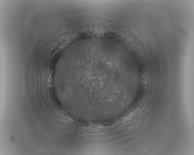 X0000116000818200912031507