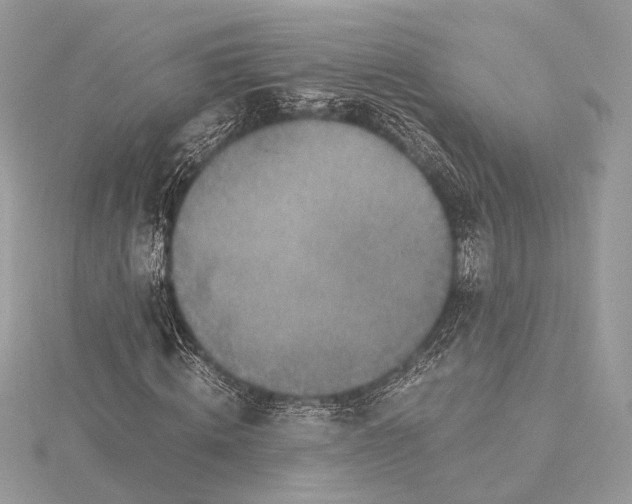 X0000116000820200912031507