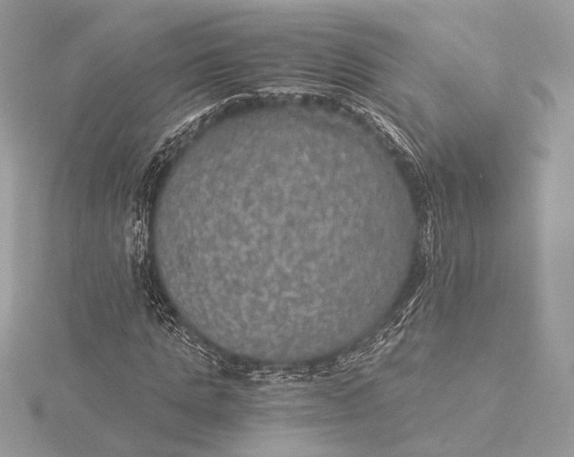 X0000116000821200912031507