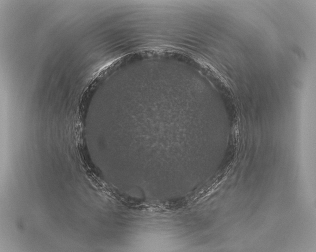 X0000116000822200912031507