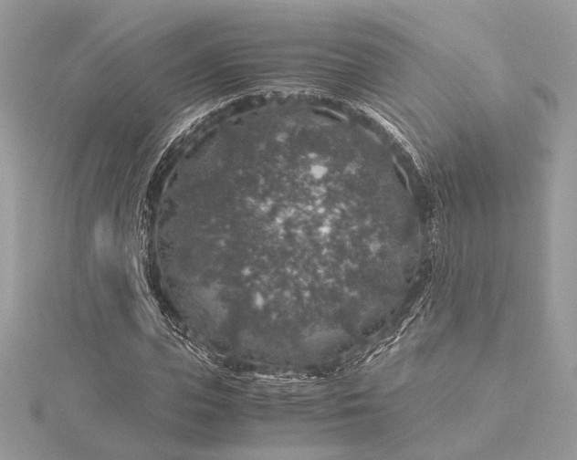 X0000116000823200912031507