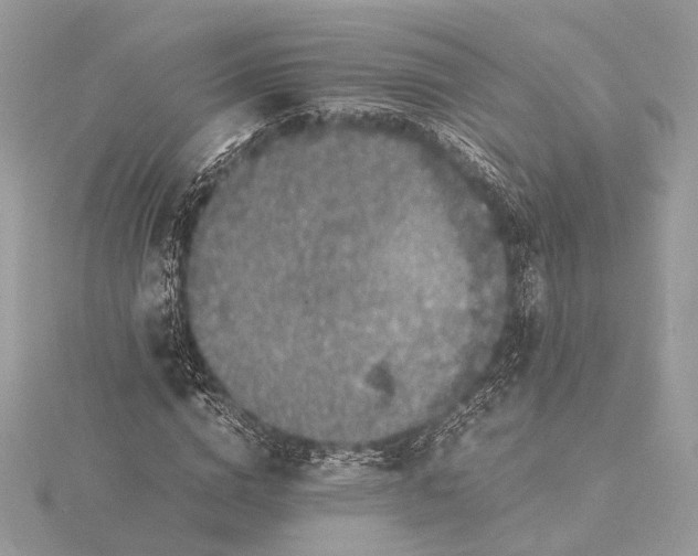 X0000116000824200912031507