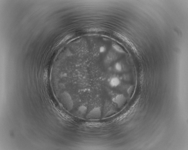 X0000116000825200912031507