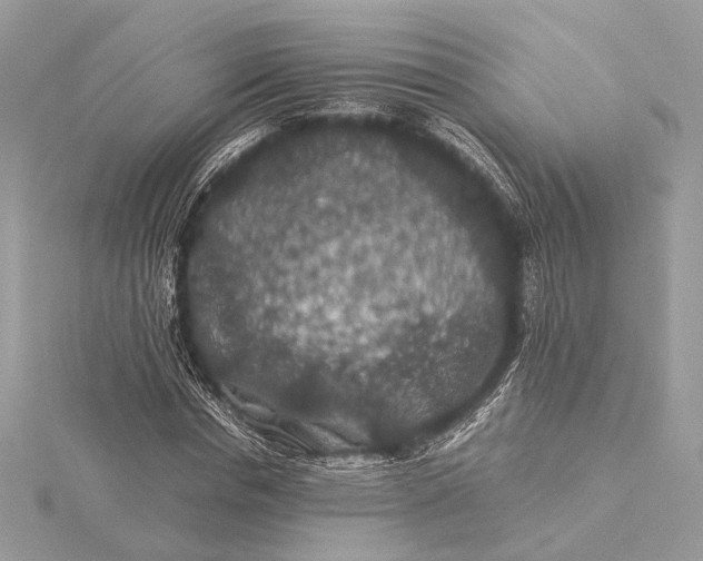 X0000116000826200912031507