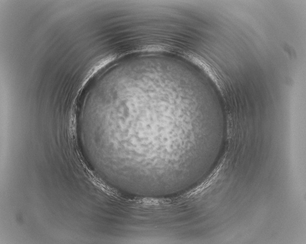 X0000116000827200912031507