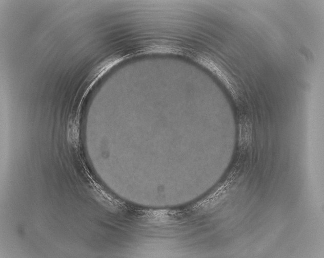 X0000116000828200912031507