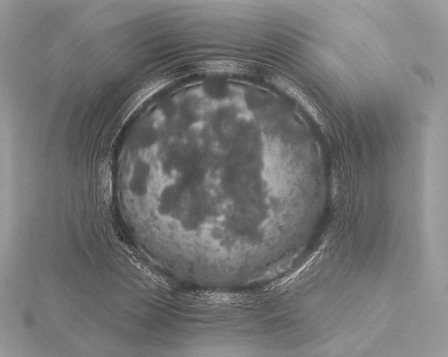 X0000116000829200912031507