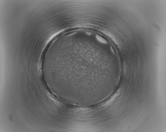 X0000116000830200912031507