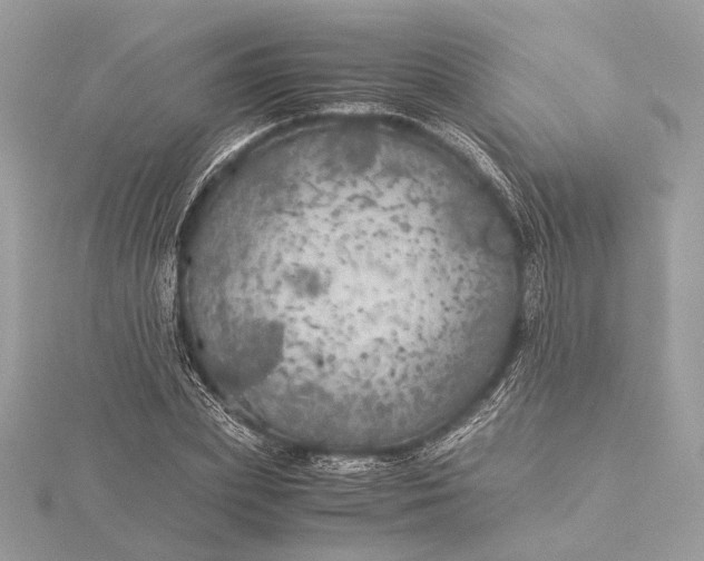 X0000116000831200912031507