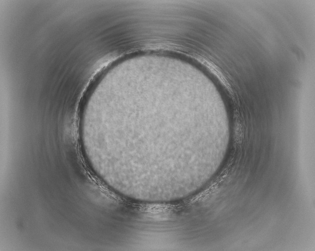 X0000116000832200912031507