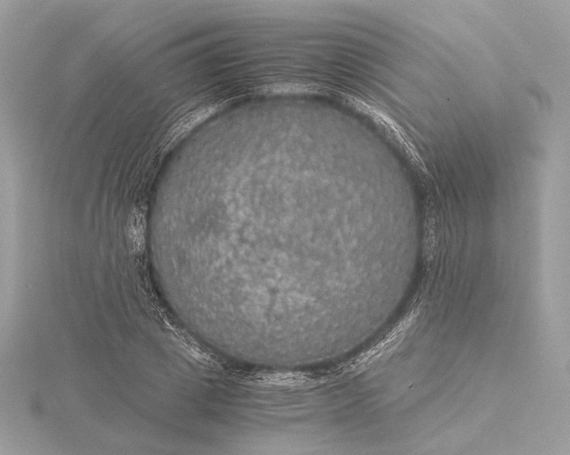 X0000116000833200912031507