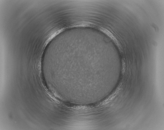 X0000116000834200912031507