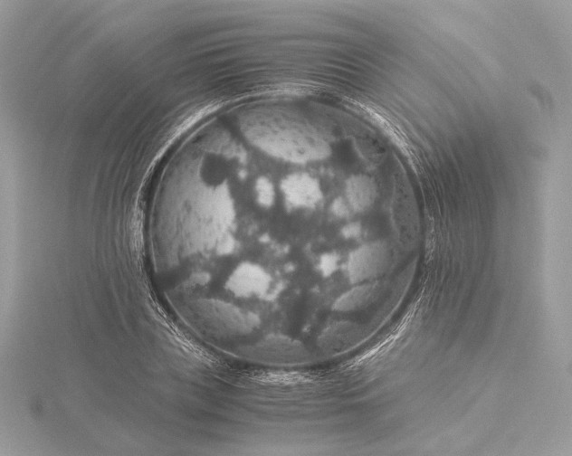 X0000116000835200912031507