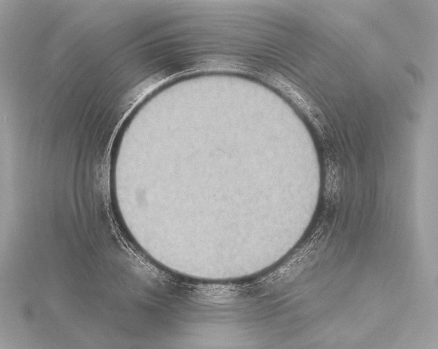 X0000116000836200912031507