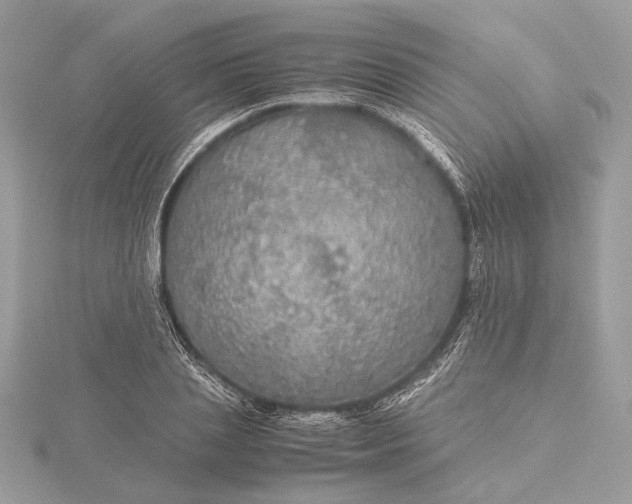 X0000116000837200912031507