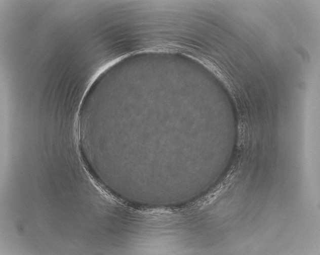 X0000116000838200912031507