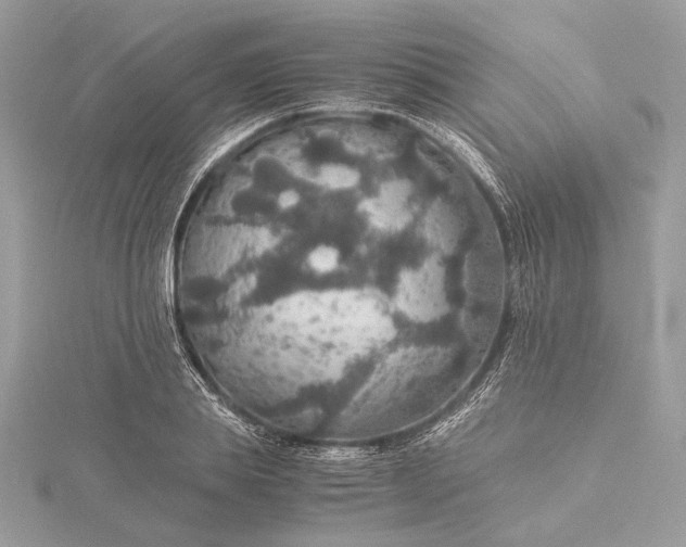 X0000116000839200912031507