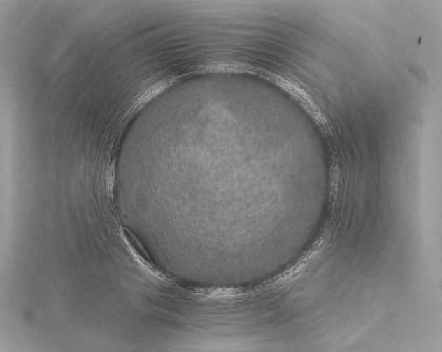 X0000116000841200912031507