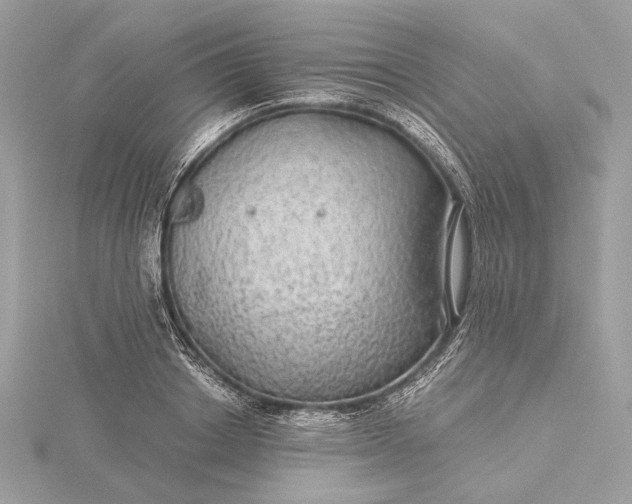 X0000116000842200912031507