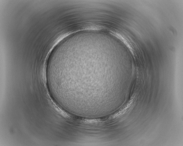 X0000116000843200912031507