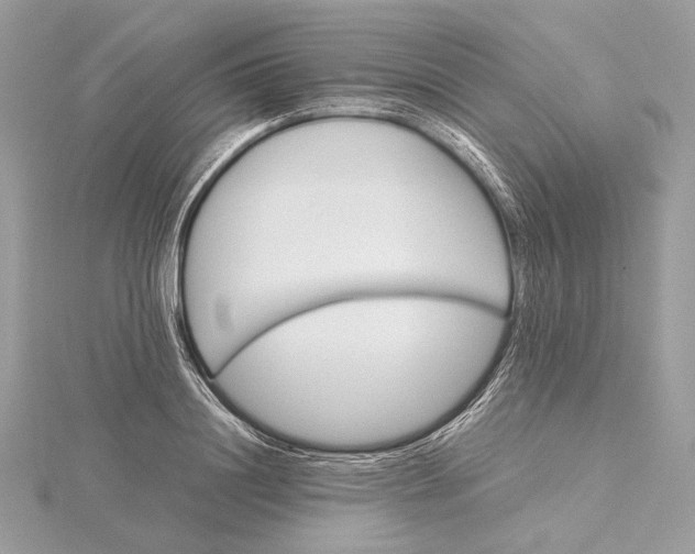 X0000116000844200912031507