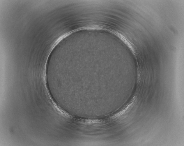 X0000116000845200912031507