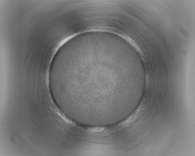 X0000116000846200912031507