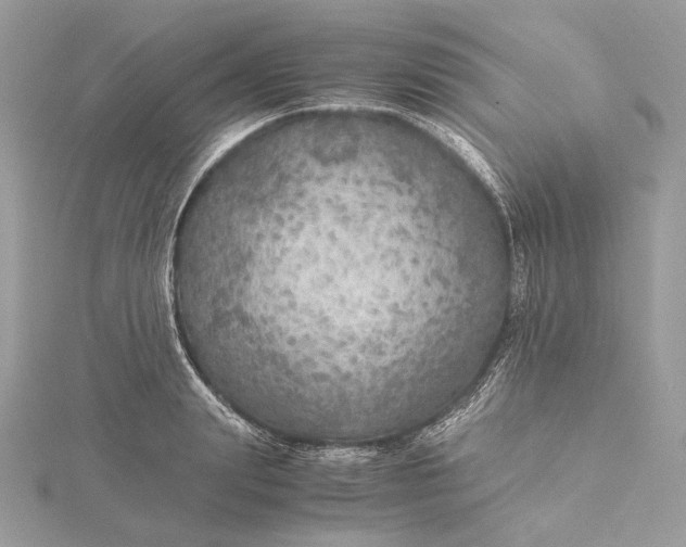 X0000116000847200912031507