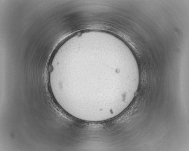 X0000116000848200912031507