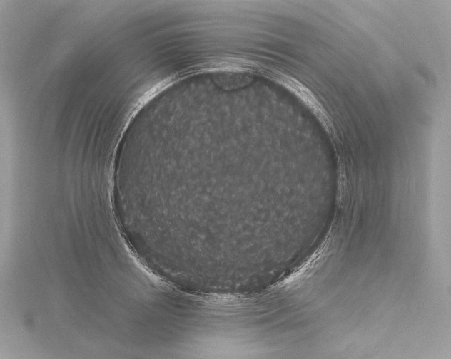 X0000116000850200912031507