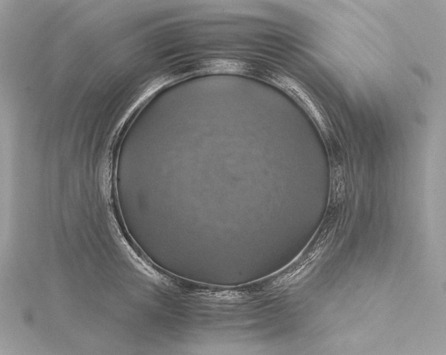 X0000116000851200912031507