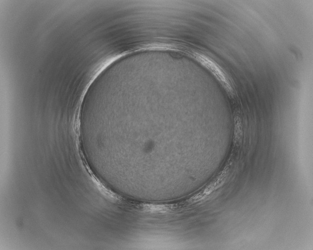 X0000116000852200912031507