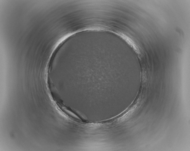 X0000116000854200912031507