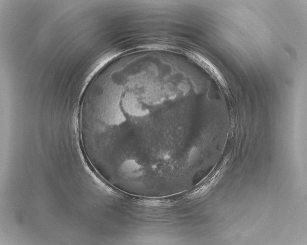 X0000116000855200912031507