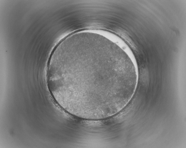 X0000116000856200912031507