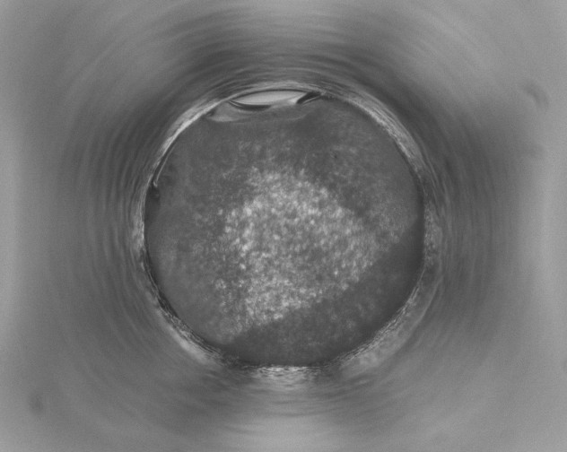 X0000116000858200912031507